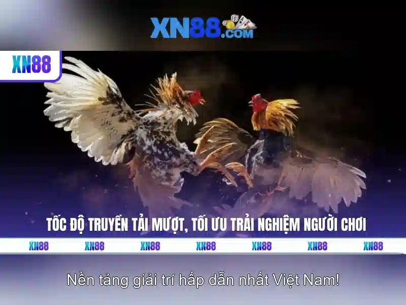  xn88 có lừa đảo không — Lợi thế và cạnh tranh