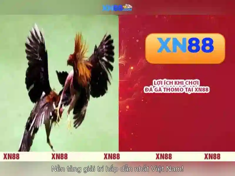 Soi kèo hiệp 1