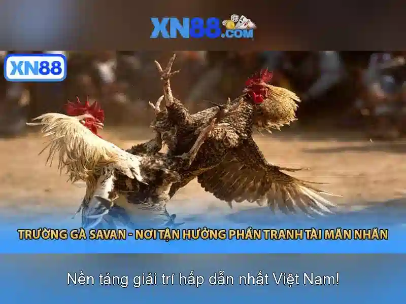 Khám phá xn88: nền tảng trực tuyến cho cộng đồng số hóa