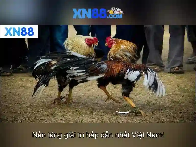 Go88