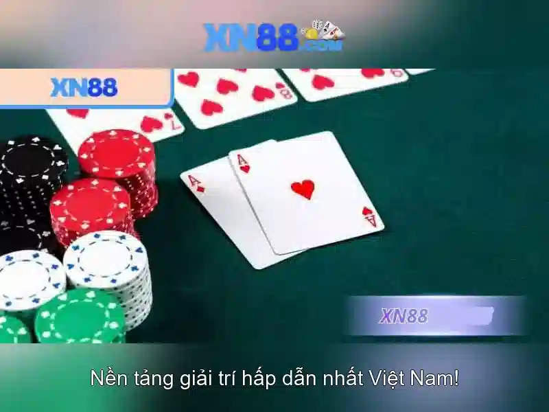 Kết luận