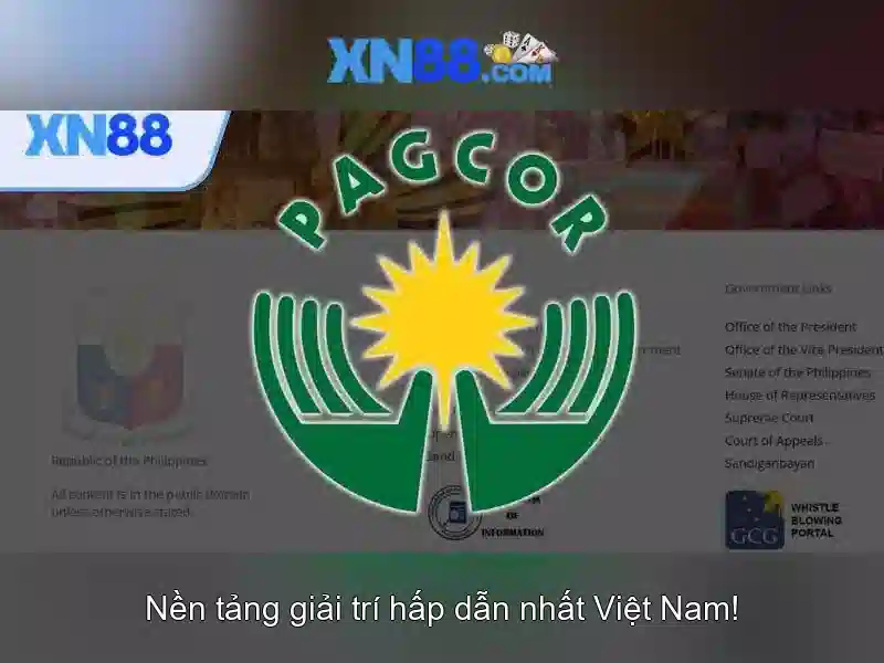Lịch sử và giấy phép