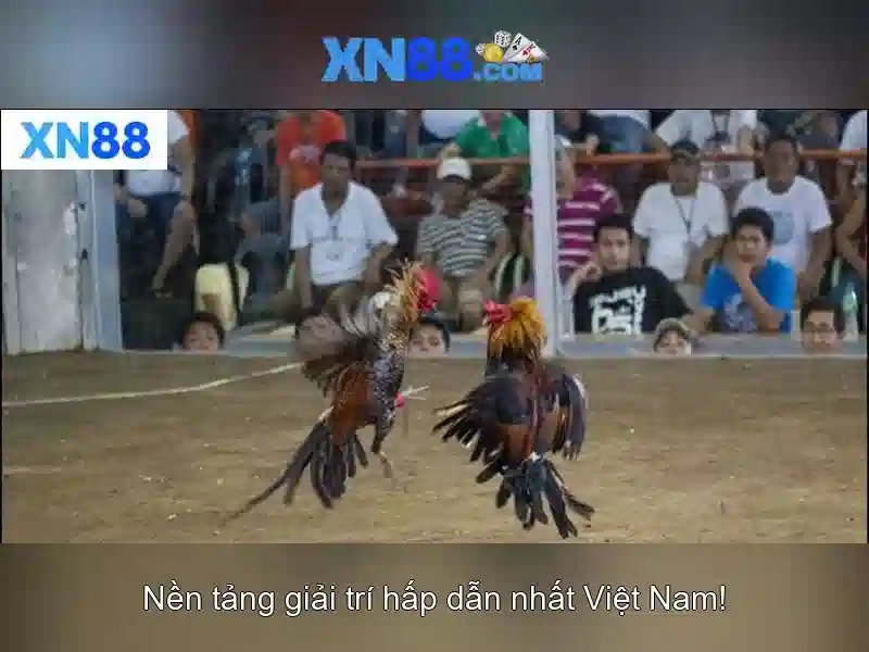 xn88 là gì và tại sao nó được nhiều người chọn Soi kèo hiệp 1