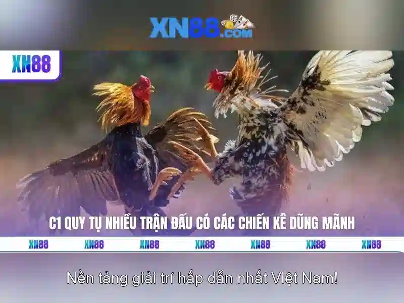 nhà cái xn88 – Tổng quan về chủ đề và giá trị cốt lõi