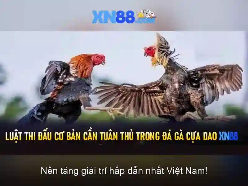 Tài nguyên và hỗ trợ người dùng xn88