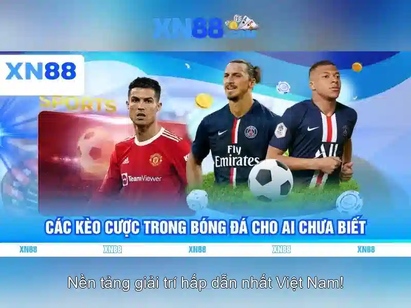 Cách tham gia và hỗ trợ