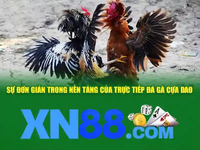 xn88 con là gì trong thế giới cược bóng đá 1 Đăng Nhập